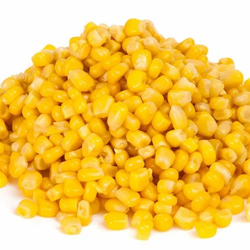 Hạt giống Bắp Mỹ
