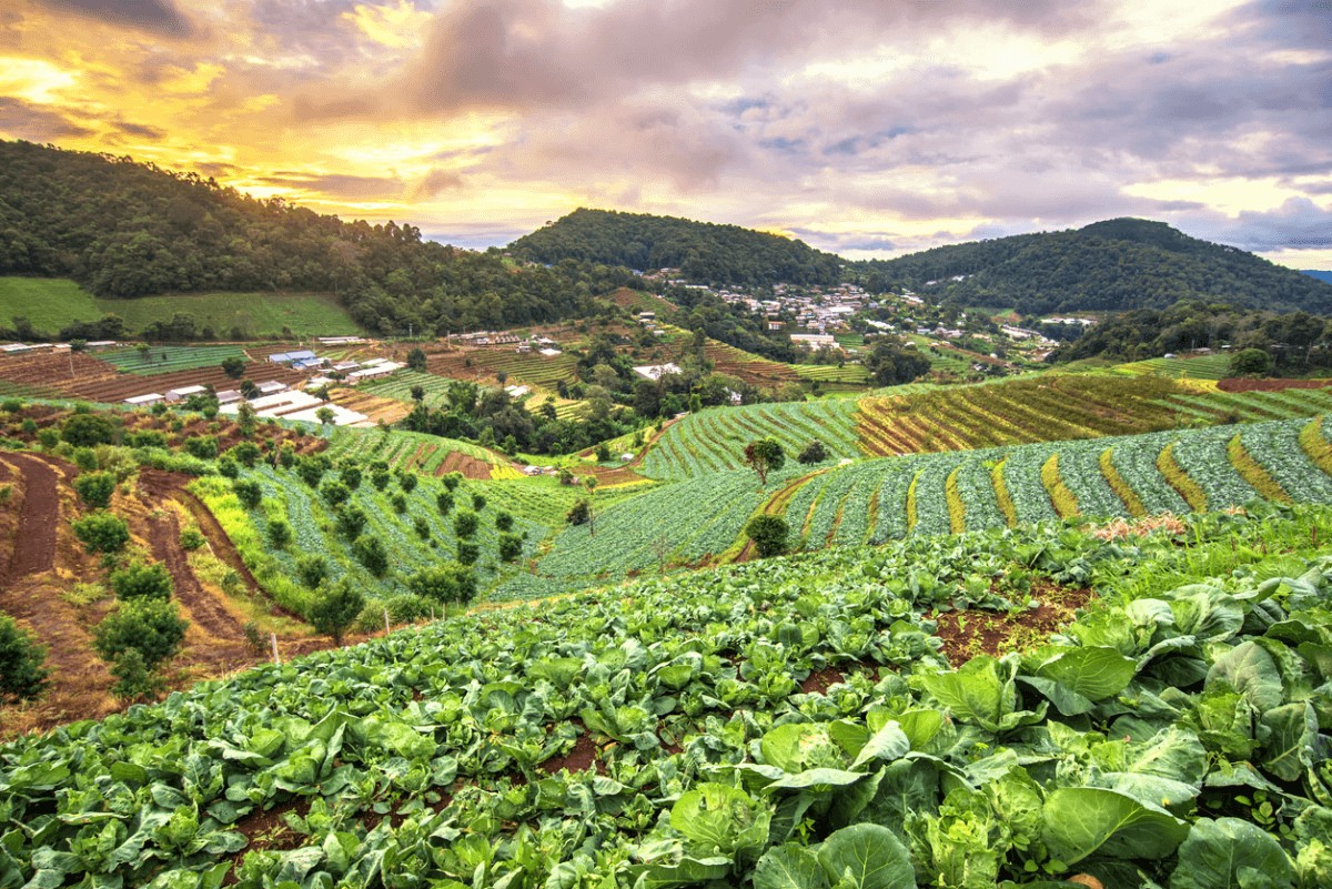 Các phương pháp nông nghiệp xanh phổ biến