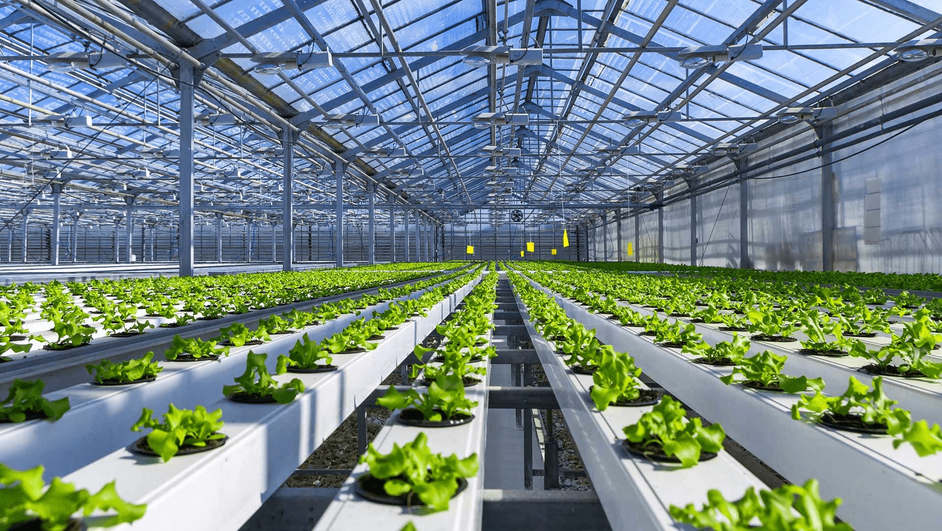 Thách thức trong việc áp dụng nông nghiệp xanh