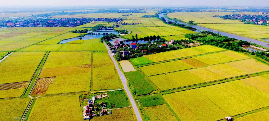 Quy định mới về miễn, giảm tiền sử dụng đất áp dụng từ 1/8/2024