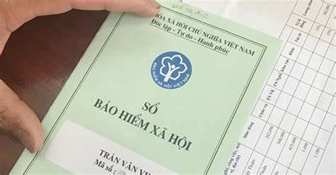 Dự thảo thông tư hướng dẫn kế toán bảo hiểm bắt đầu từ 01/01/2025