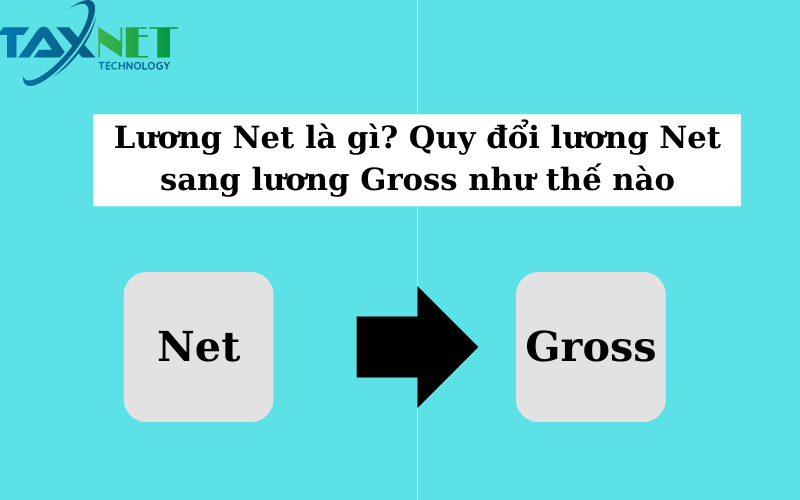 Lương Net là gì? Quy đổi lương Net sang lương Gross như thế nào