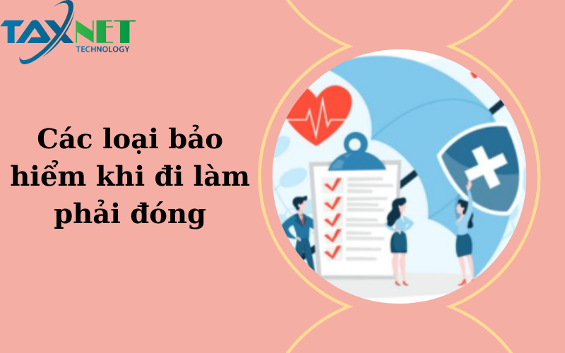 Các loại bảo hiểm khi đi làm phải đóng