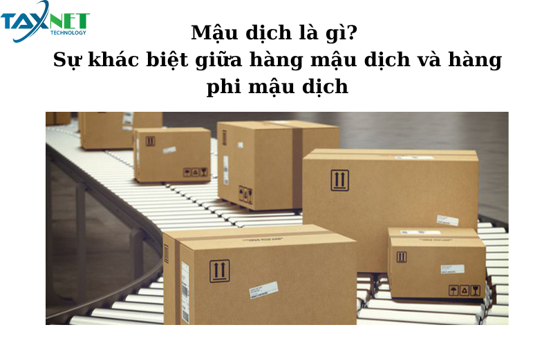 Mậu dịch là gì? Sự khác biệt giữa hàng mậu dịch và hàng phi mậu dịch