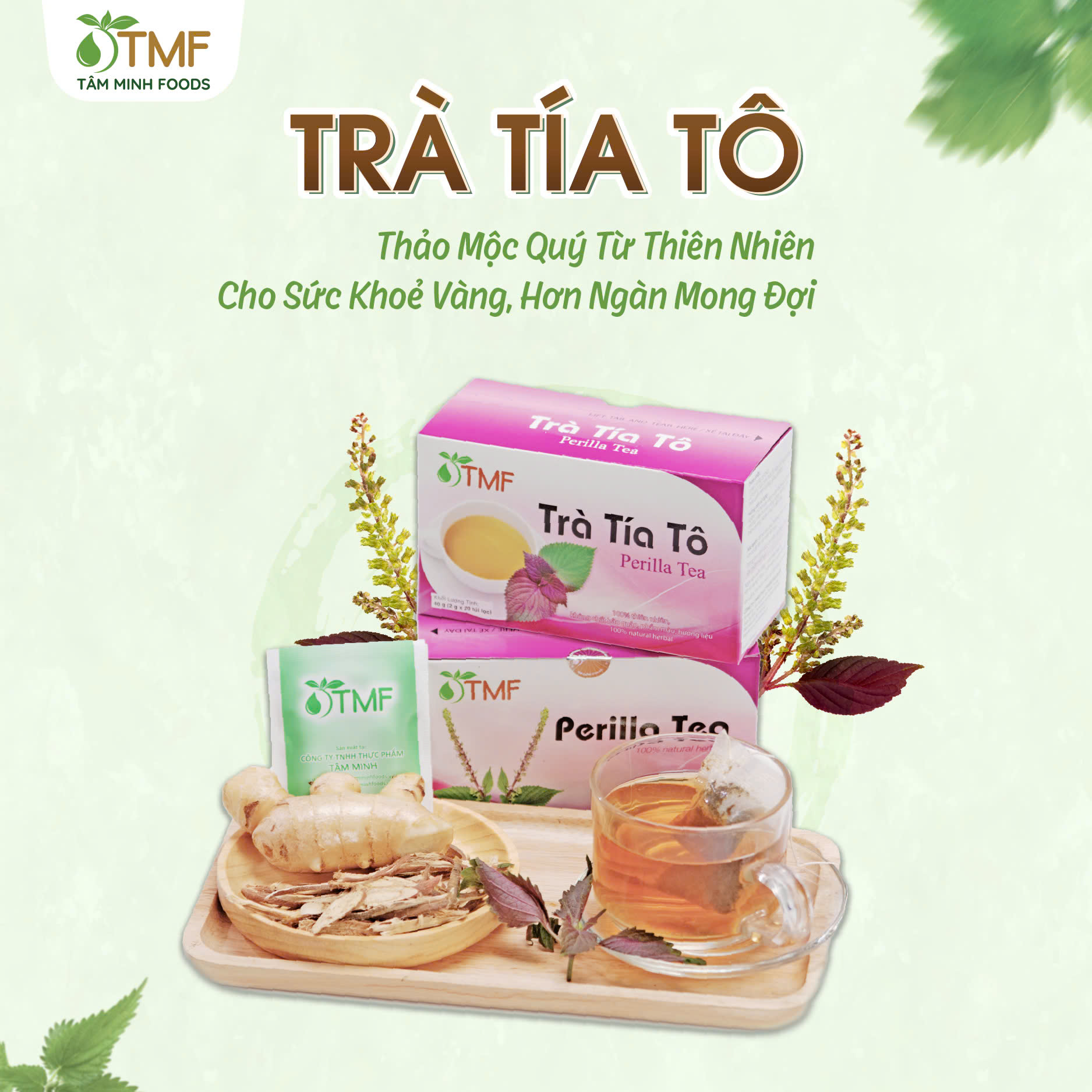 CARTON 50 BOXES PERILLA TEA