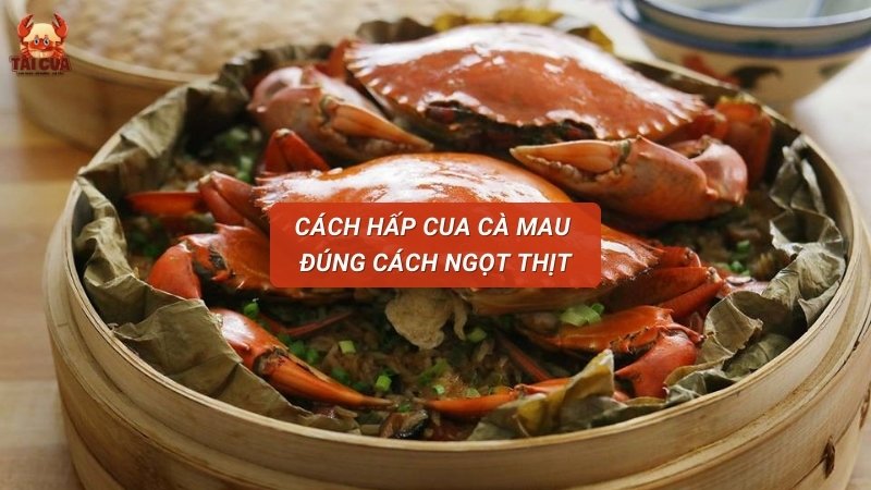Cách hấp cua Cà Mau không bị gãy càng, thịt ngọt thơm