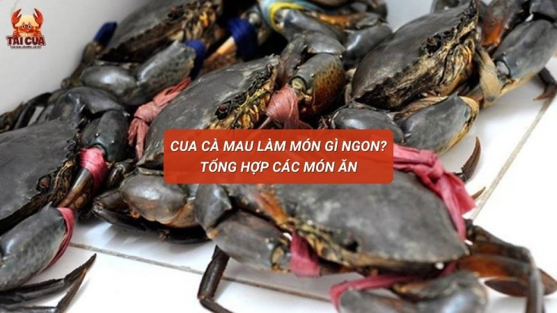 Cua Cà Mau làm món gì ngon? Tổng hợp các món ăn ngon