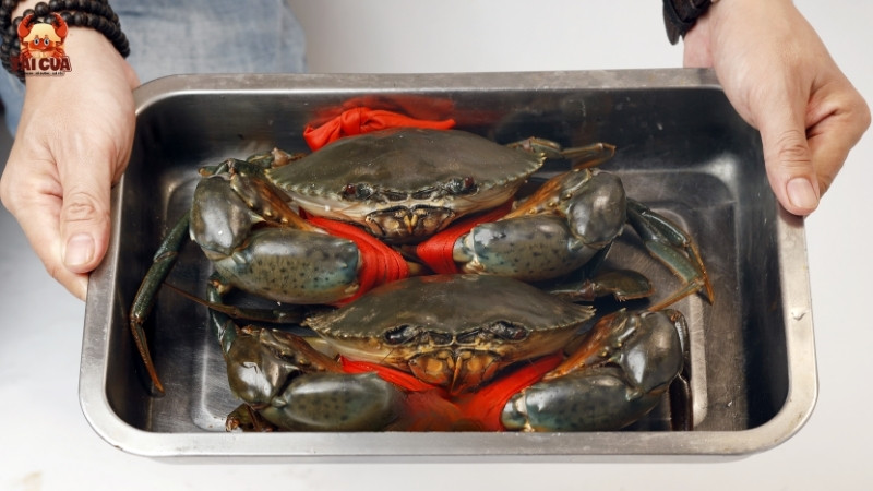 Những tiêu chí chọn cua Cà Mau ngon