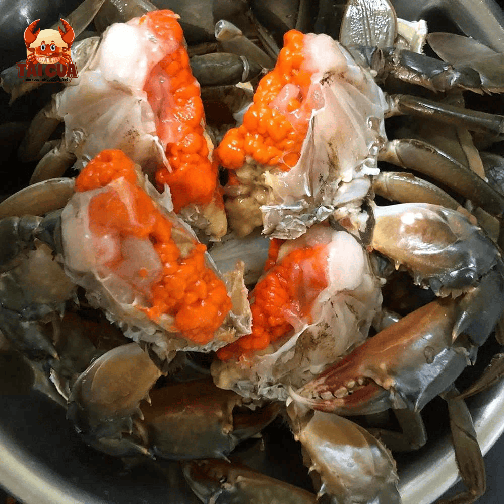 CUA GẠCH G3 (200g-300g/con)-GẠCH SON ĐỎ GIÀU DINH DƯỠNG