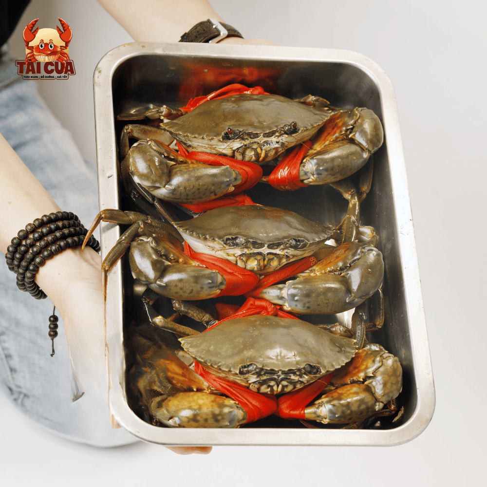 Combo Cua thịt Cua Gạch thượng hạng - Combo Diamond ( >1TR) - 100% tuyển chọn