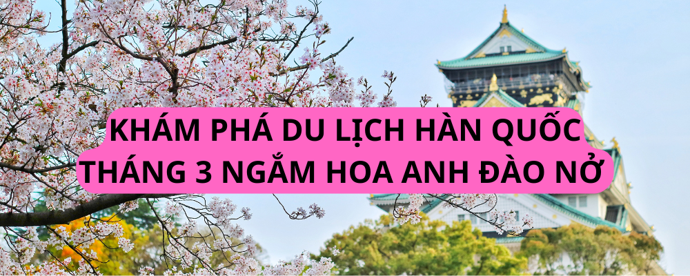 KHÁM PHÁ DU LỊCH HÀN QUỐC THÁNG 3 NGẮM HOA ANH ĐÀO NỞ