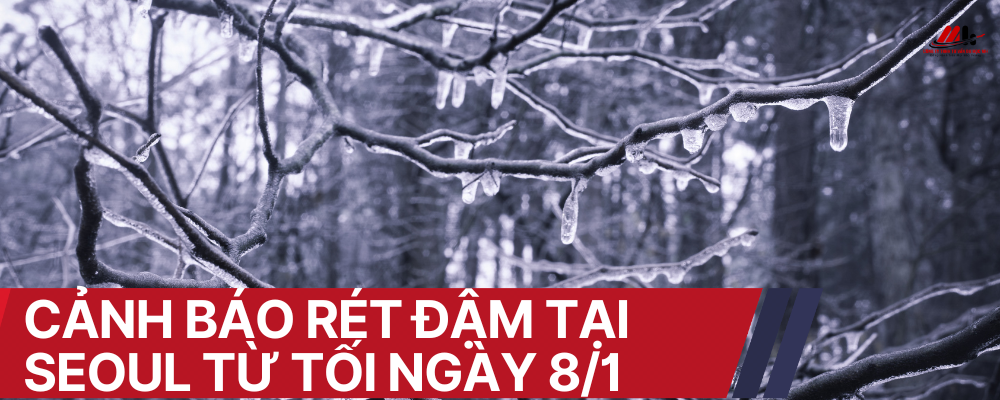 CẢNH BÁO RÉT ĐẠM TẠI SEOUL TỪ TỐI NGÀY 8/1