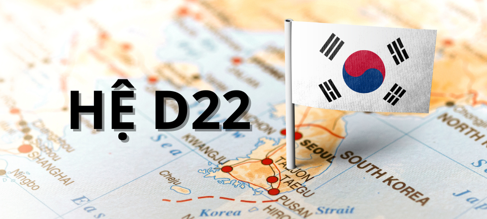 HỆ D22 (ĐẠI HỌC 4 NĂM - KHÔNG PHỎNG VẤN ĐSQ)