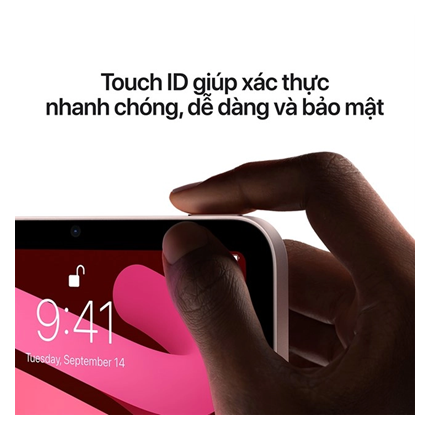iPad mini 6 8.3" Wi-Fi - Chính hãng Apple Việt Nam