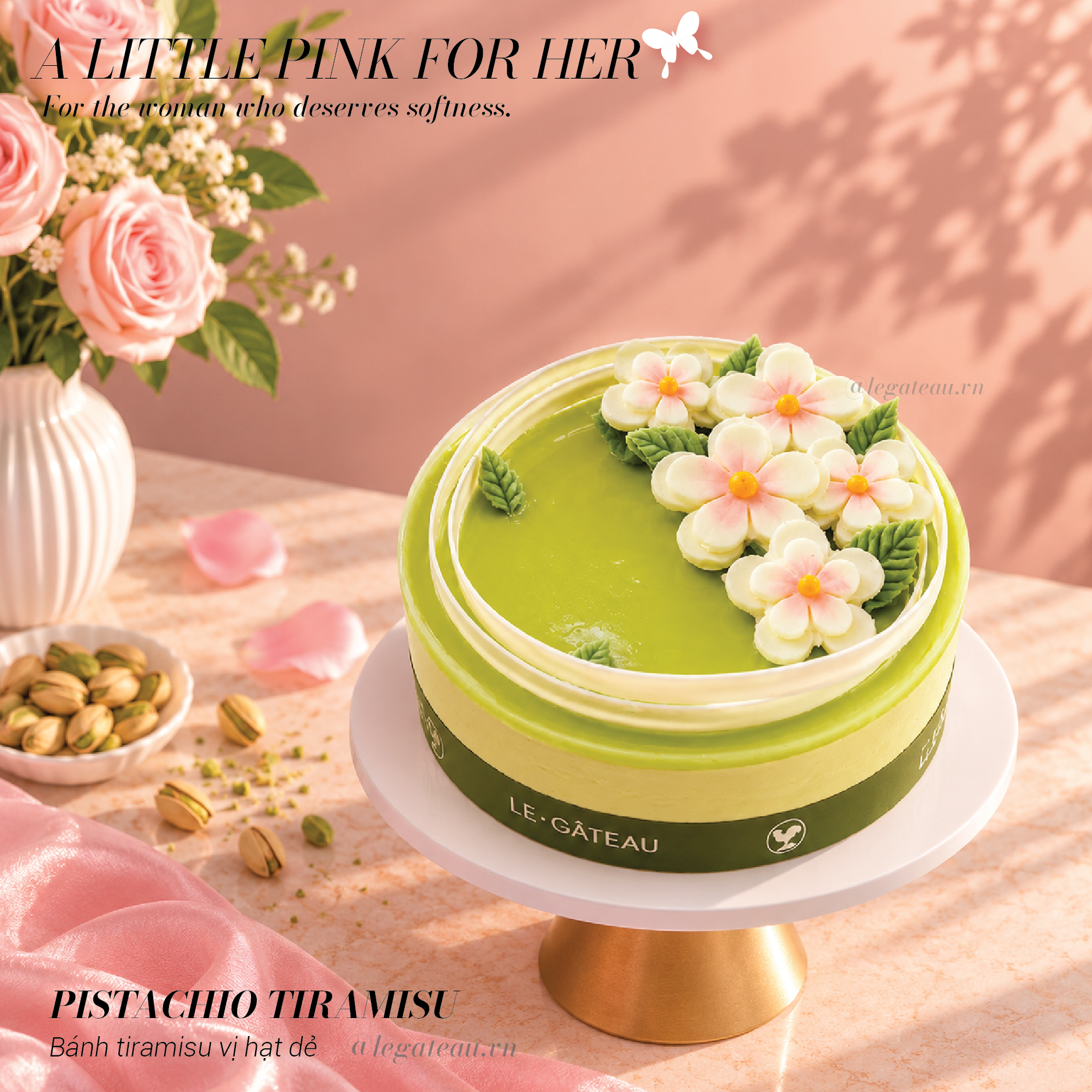 Bánh tiramisu pistachio