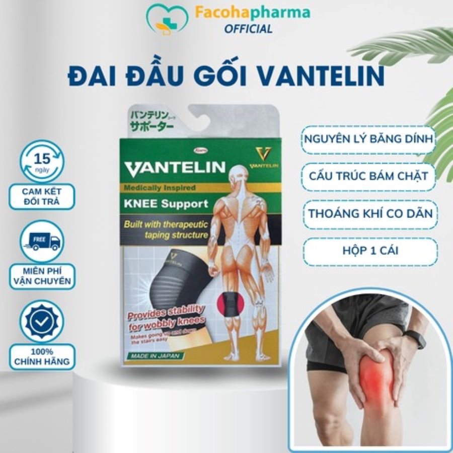 Đai bảo vệ đầu gối Vanteline Nhật Bản