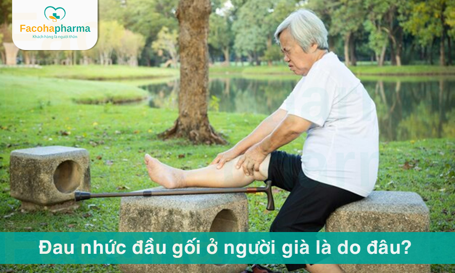 Đau đầu gối ở người già