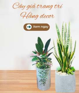 Cây giả trang trí cao cấp - Hằng Decor