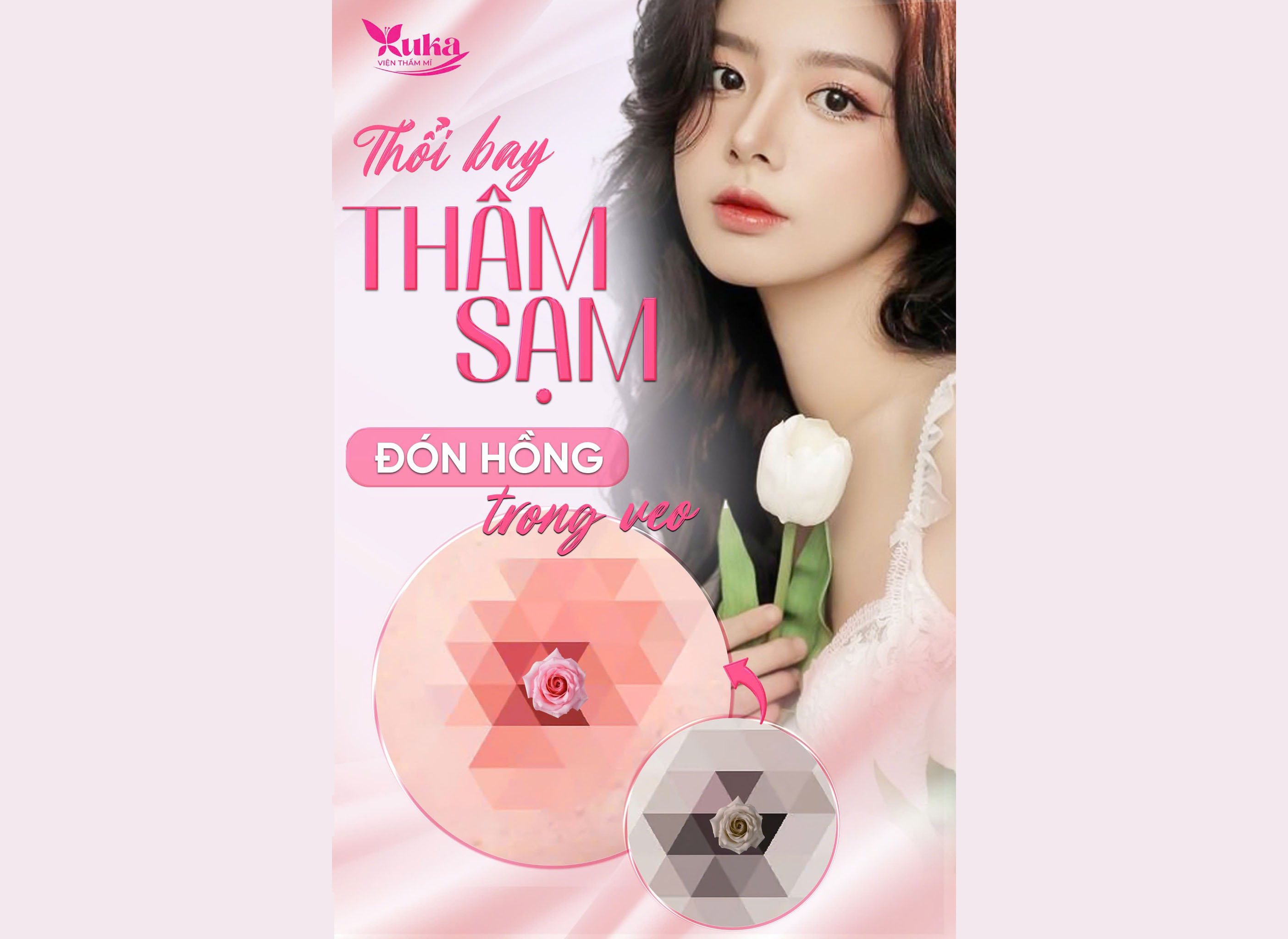THỔI BAY THÂM SẠM - ĐÓN HỒNG TRONG VEO