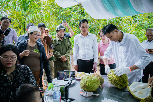 31 NHÀ VƯỜN Ở HUYỆN KRÔNG PẮC CỦA TỈNH ĐẮK LẮK ĐUA TÀI TẠI HỘI THI NÔNG DÂN TRỒNG SẦU RIÊNG GIỎI