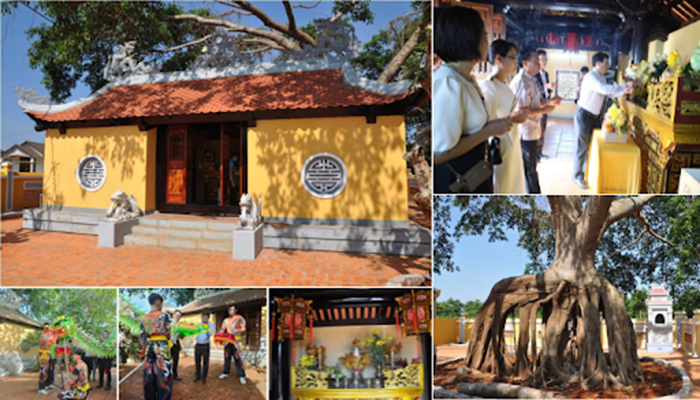 Tour 1: Hành trình lịch sử & Khám phá sầu riêng cổ thụ