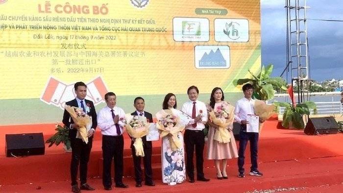 Chuyến hàng sầu riêng đầu tiên ở Đắk Lắk xuất khẩu chính ngạch sang Trung Quốc