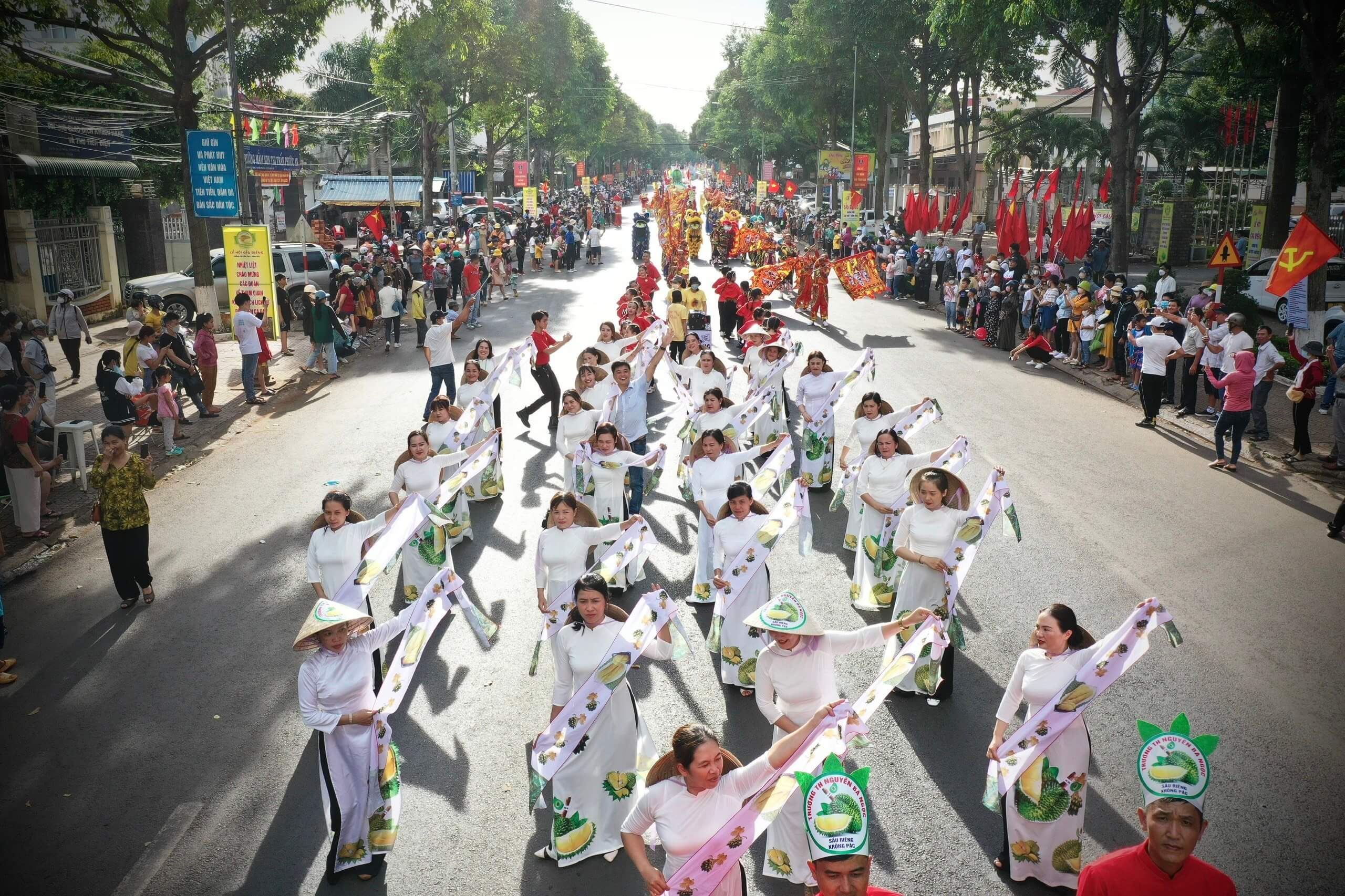 Diễu hành đường phố