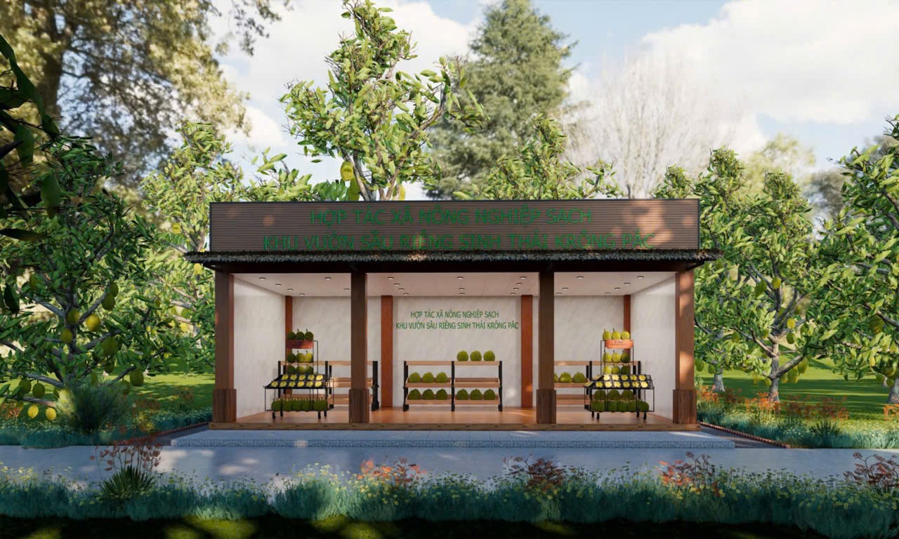 Hợp tác xã nông nghiệp sạch - Khu vườn sầu riêng sinh thái Krông Pắc