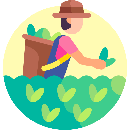 Du lịch nông nghiệp trải nghiệm