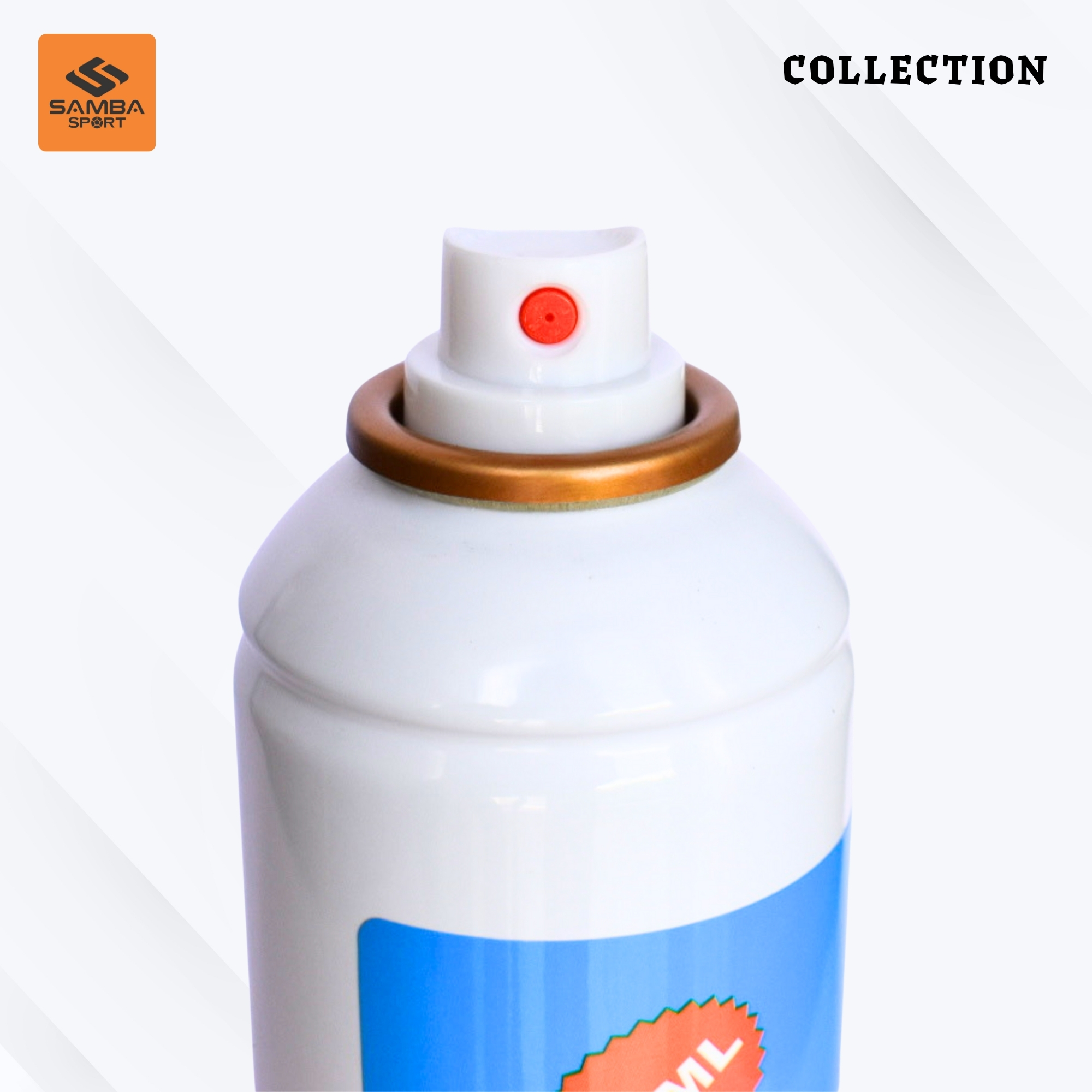 Chai xịt vệ sinh giày Ligpro 420ml