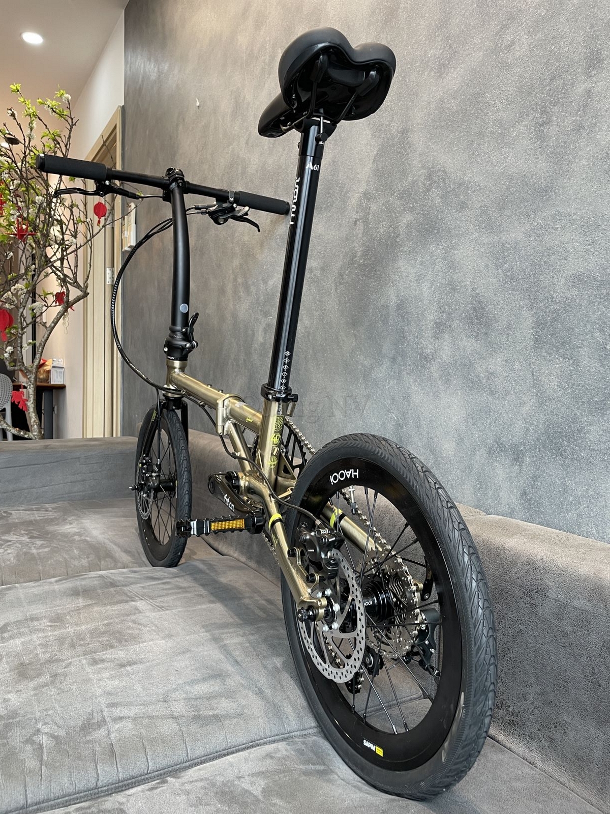 Xe đạp gấp Fnhon Gust 16'