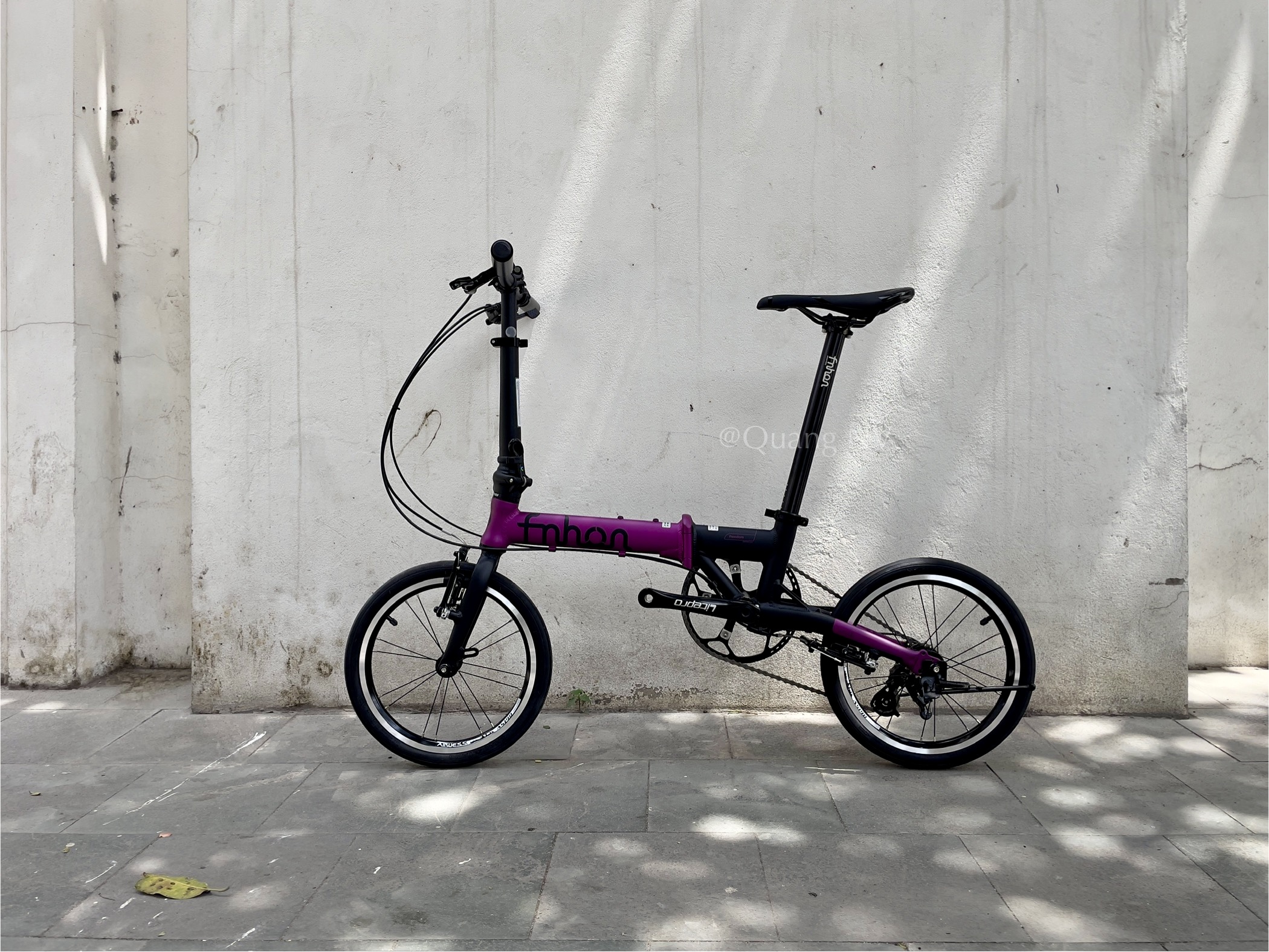 Xe đạp gấp Fnhon Freedom 16' (nhận Order)