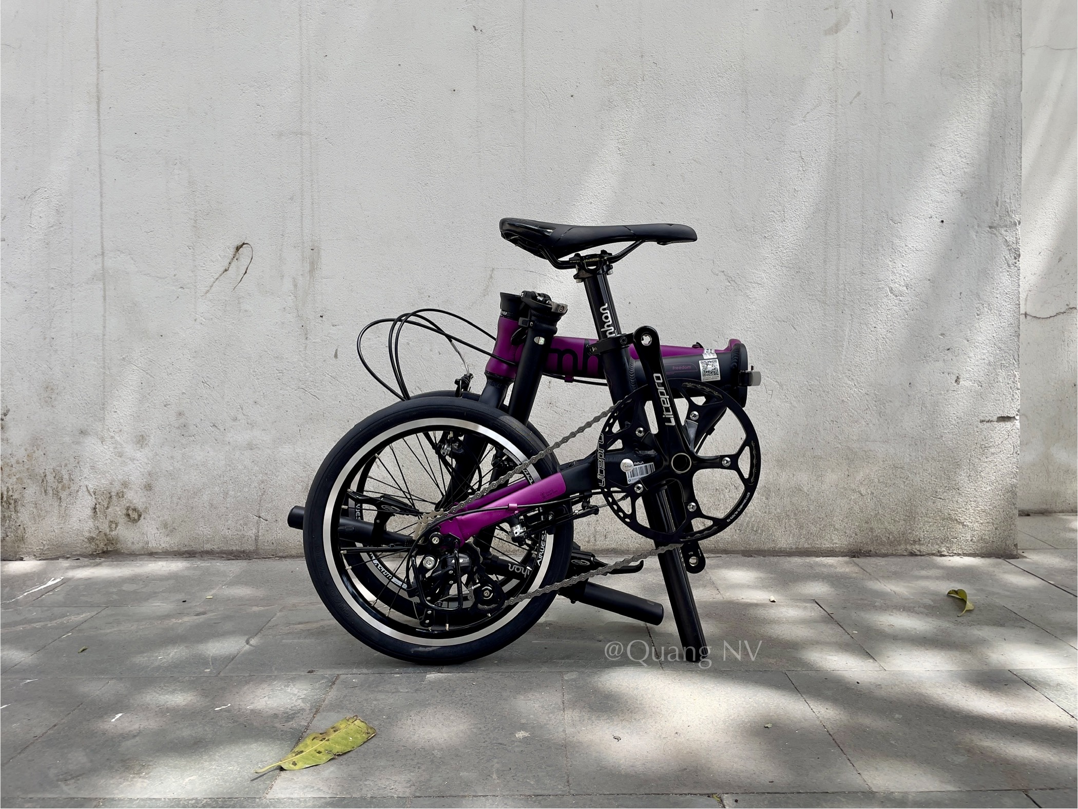 Xe đạp gấp Fnhon Freedom 16' (nhận Order)