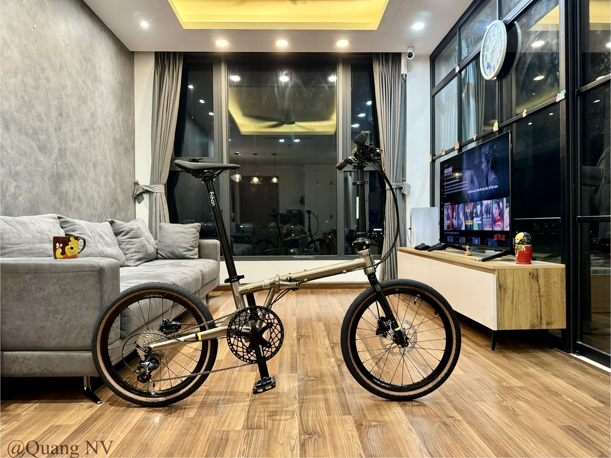 Xe đạp gấp Fnhon Gust 20' phanh đĩa màu Titanium