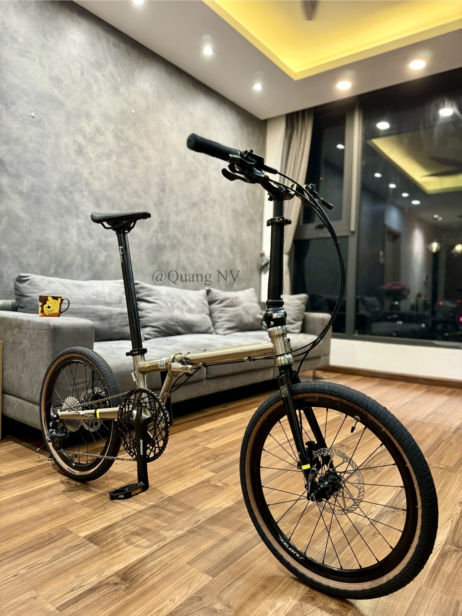 Xe đạp gấp Fnhon Gust 20' phanh đĩa màu Titanium