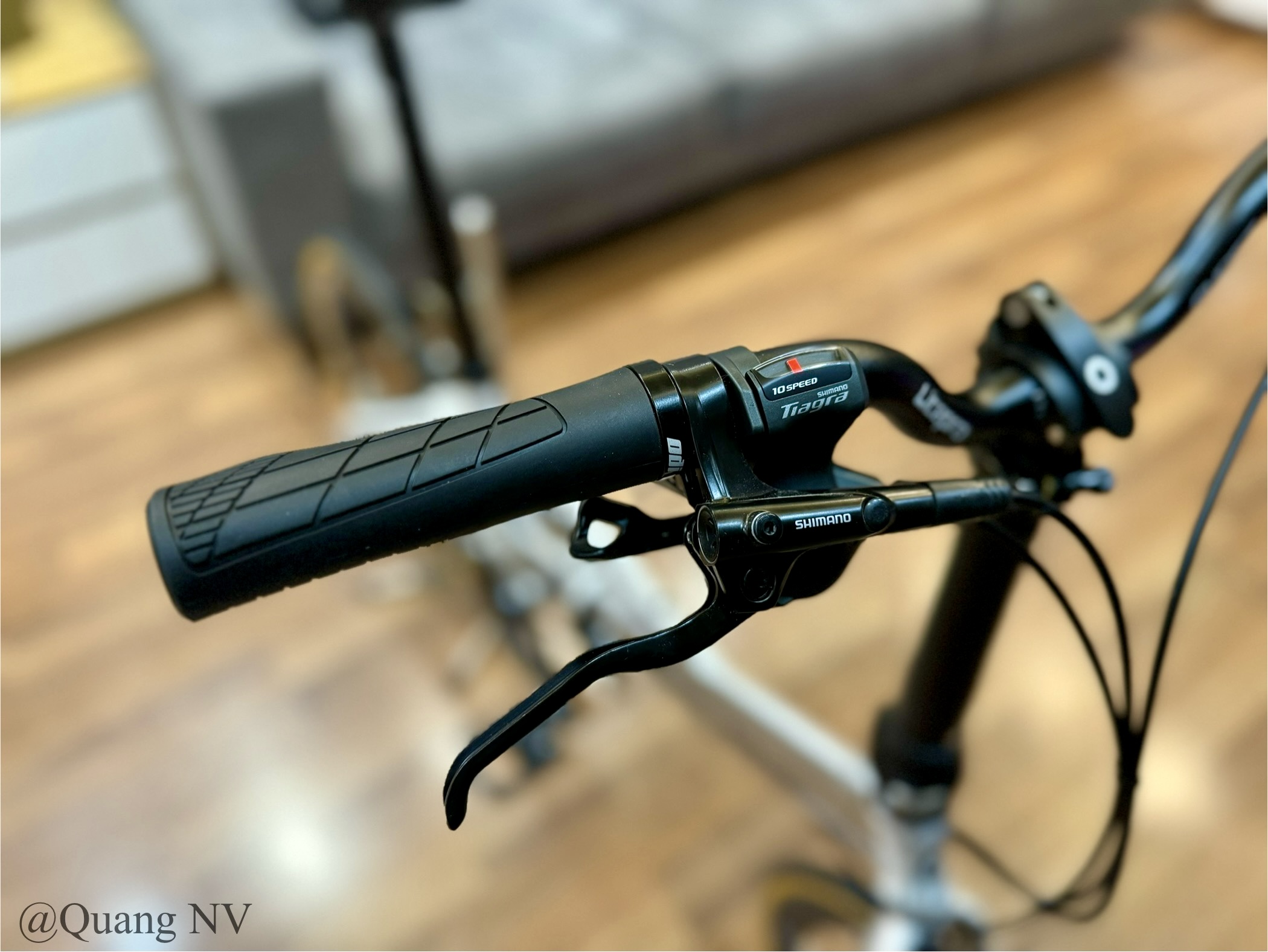 Xe đạp gấp ráp theo yêu cầu Fnhon Monsoon 20' phanh đĩa màu Silver