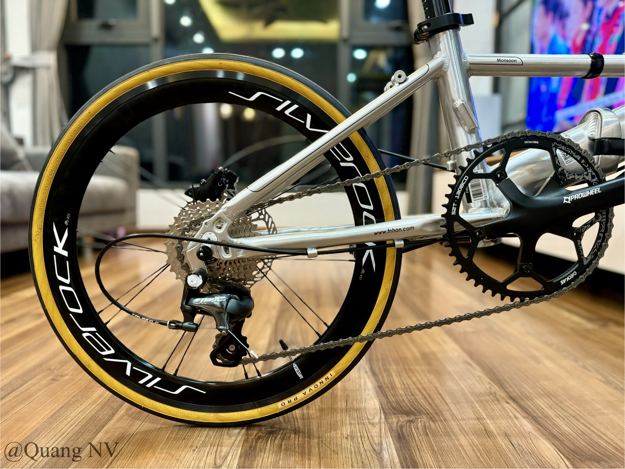 Xe đạp gấp ráp theo yêu cầu Fnhon Monsoon 20' phanh đĩa màu Silver