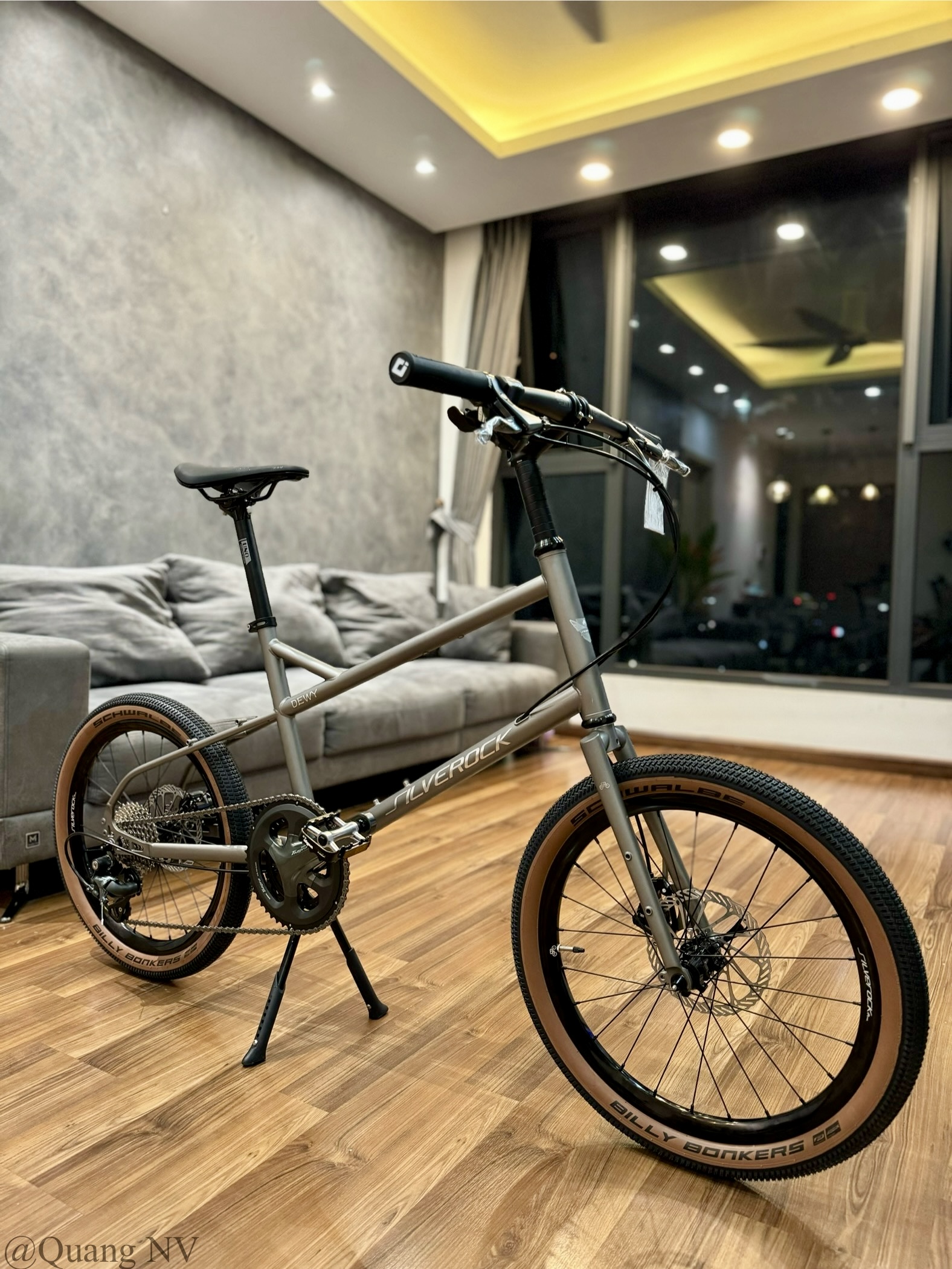 Xe đạp minivelo ráp theo yêu cầu Silverock Dewy 20' phanh đĩa màu Grey