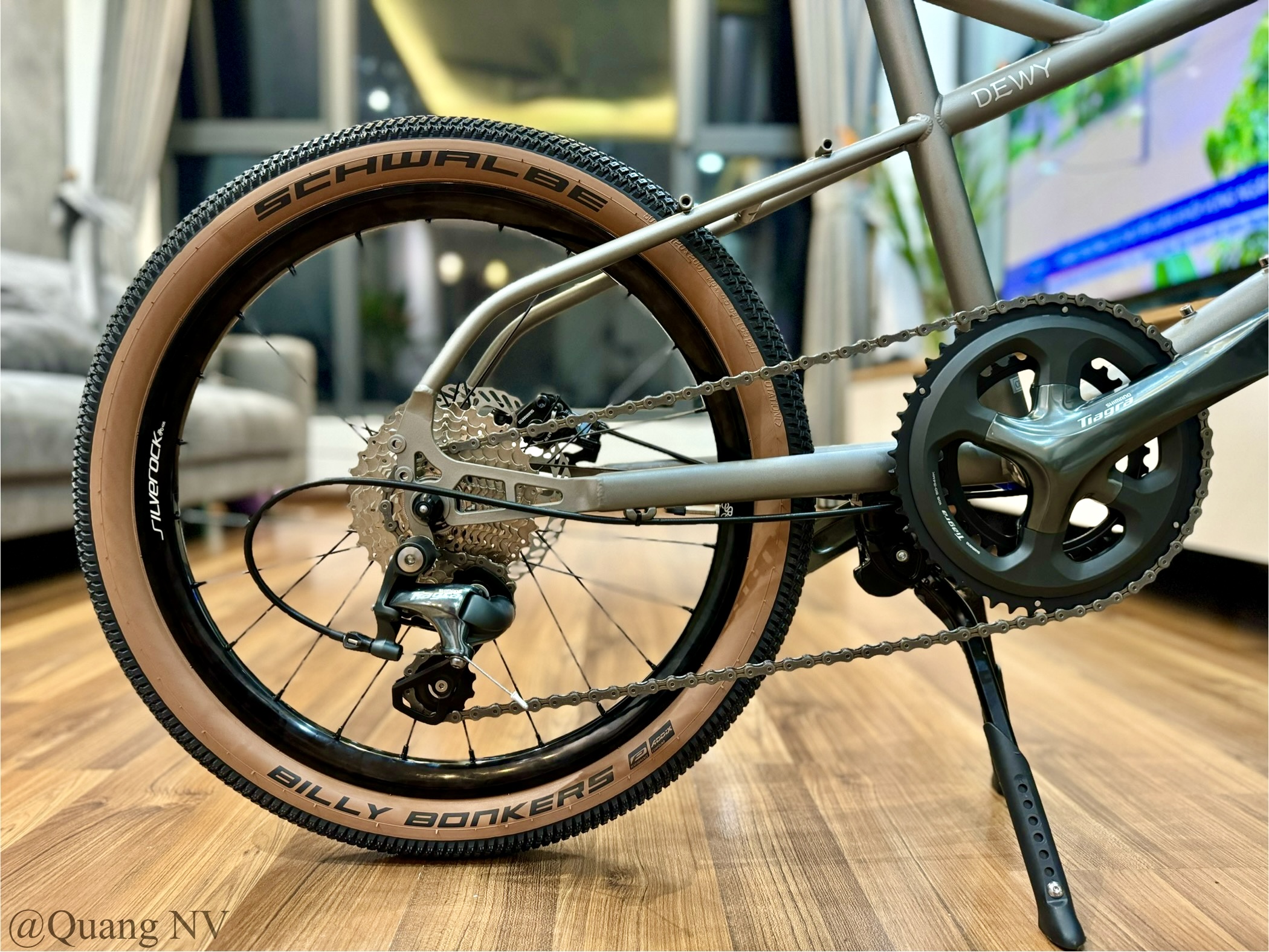 Xe đạp minivelo ráp theo yêu cầu Silverock Dewy 20' phanh đĩa màu Grey