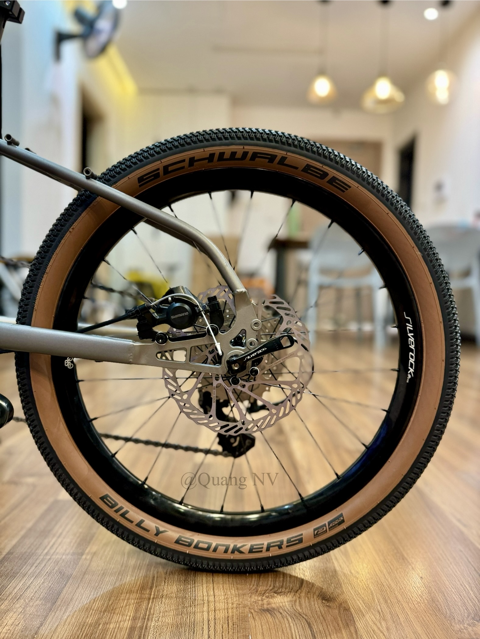 Xe đạp minivelo ráp theo yêu cầu Silverock Dewy 20' phanh đĩa màu Grey