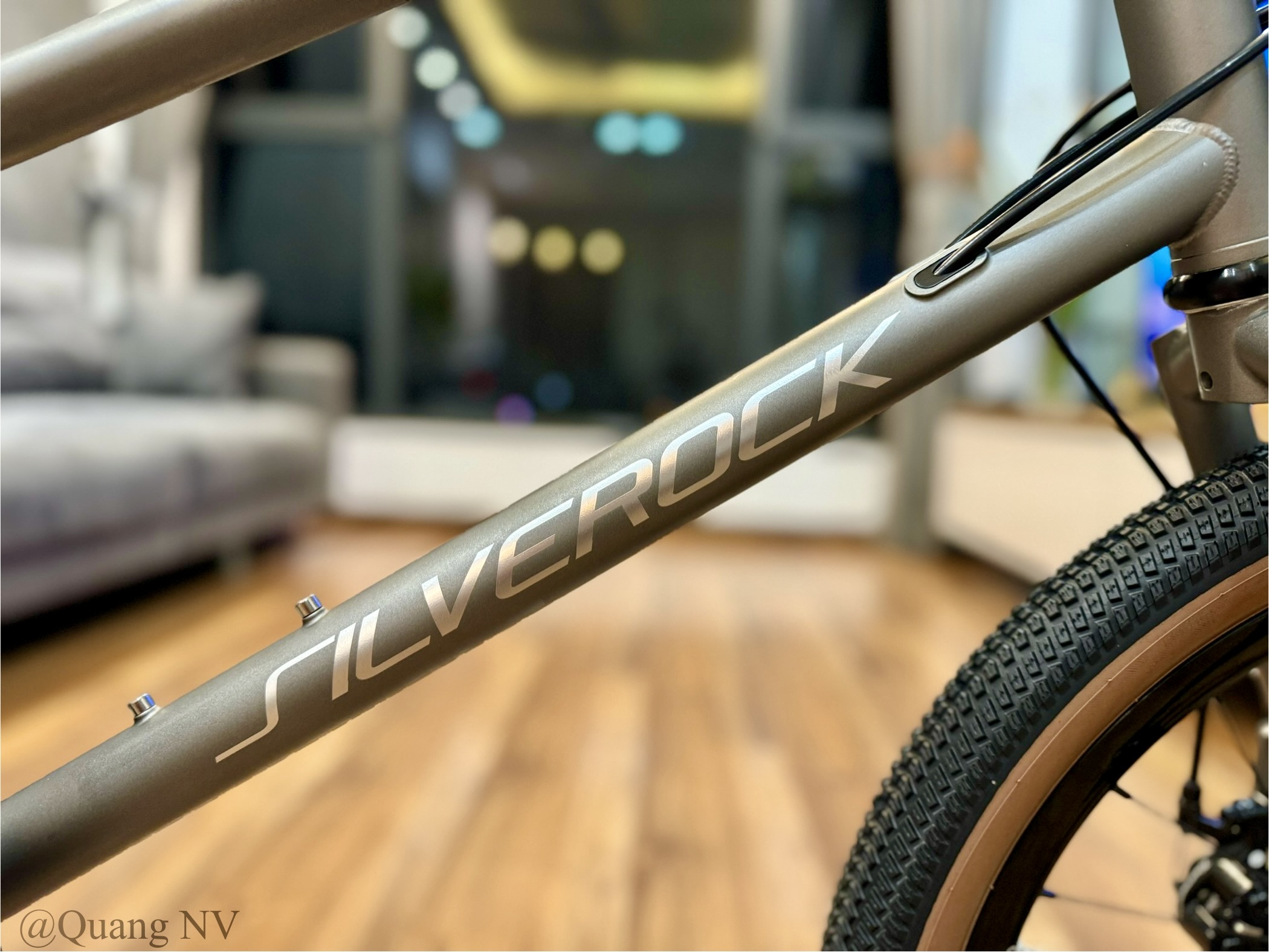 Xe đạp minivelo ráp theo yêu cầu Silverock Dewy 20' phanh đĩa màu Grey