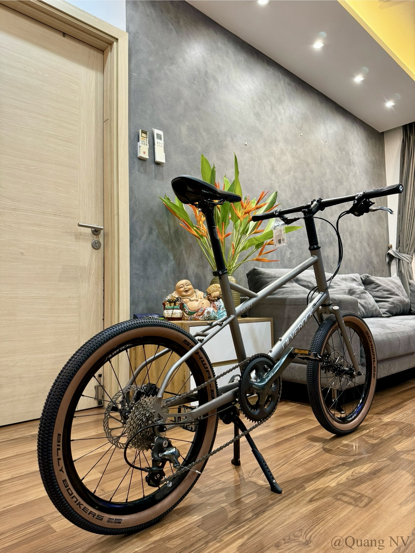 Xe đạp minivelo ráp theo yêu cầu Silverock Dewy 20' phanh đĩa màu Grey