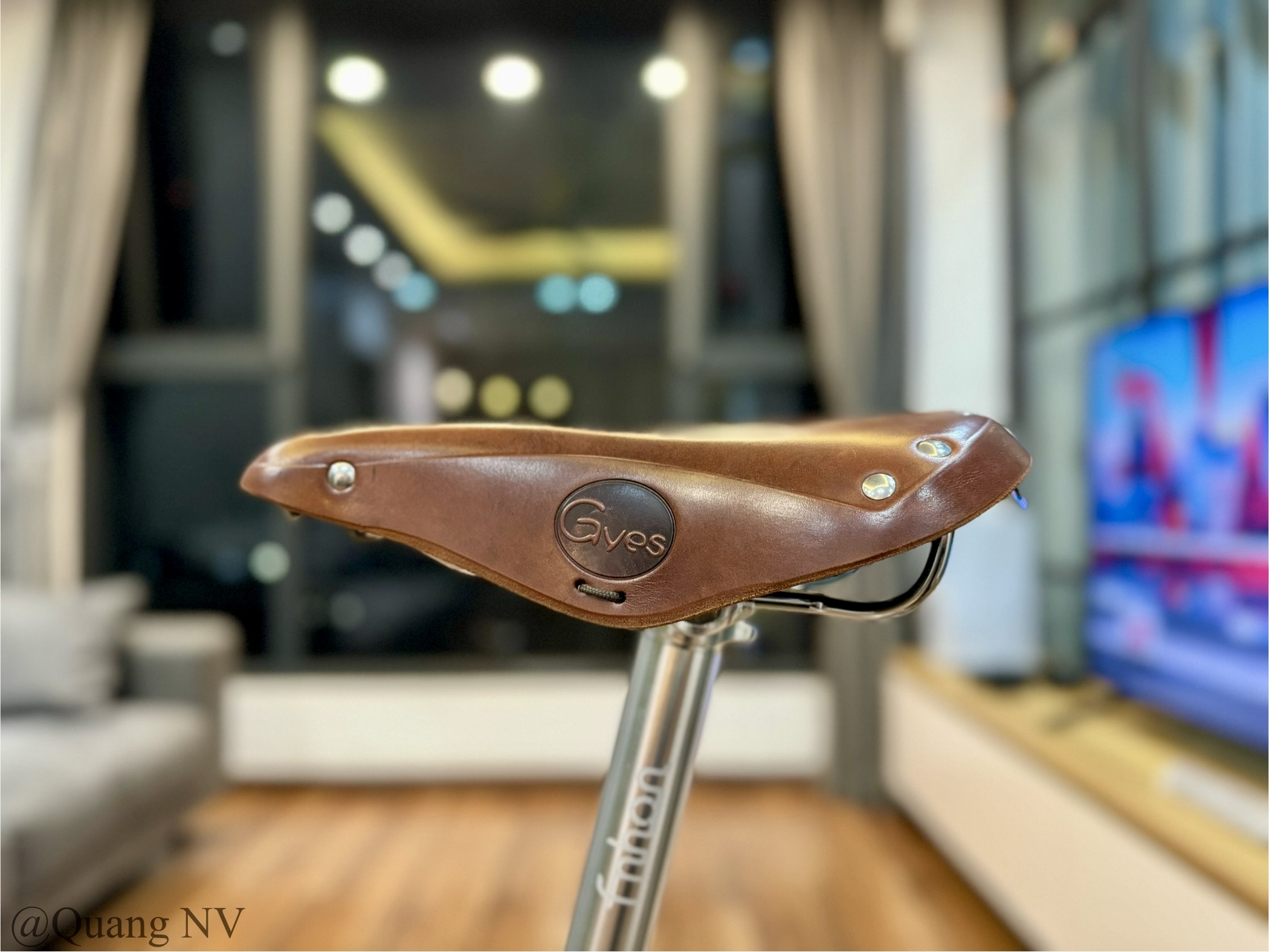 Xe đạp gấp ráp theo yêu cầu Fnhon Monsoon 20' phanh đĩa màu Silver