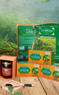 Sản phẩm
