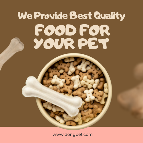 Hướng dẫn thay đổi thức ăn cho chó