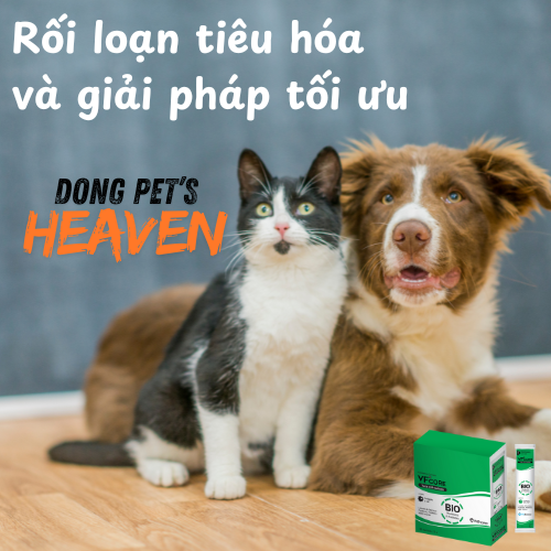 Giải pháp tối ưu cho rối loạn tiêu hóa ở thú cưng: Postbiotics và Prebiotics