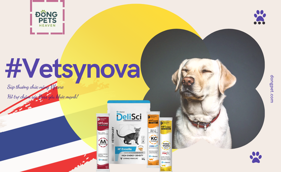 Các thương hiệu nổi bật