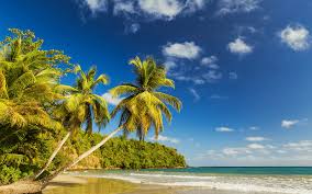 Hộ Chiếu Grenada – Tấm Hộ Chiếu Quyền Lực Mang Đến Tự Do Toàn Cầu