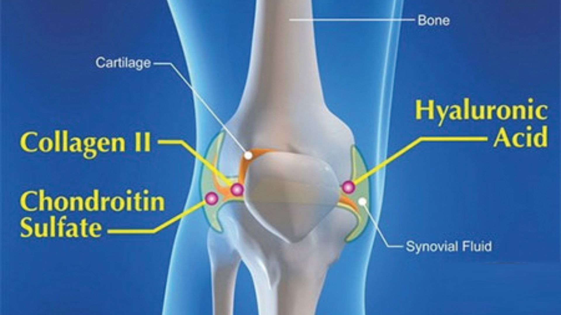 Ai Nên Uống Collagen Type 2? Người Bị Thoái Hóa Khớp Có Nên Dùng?
