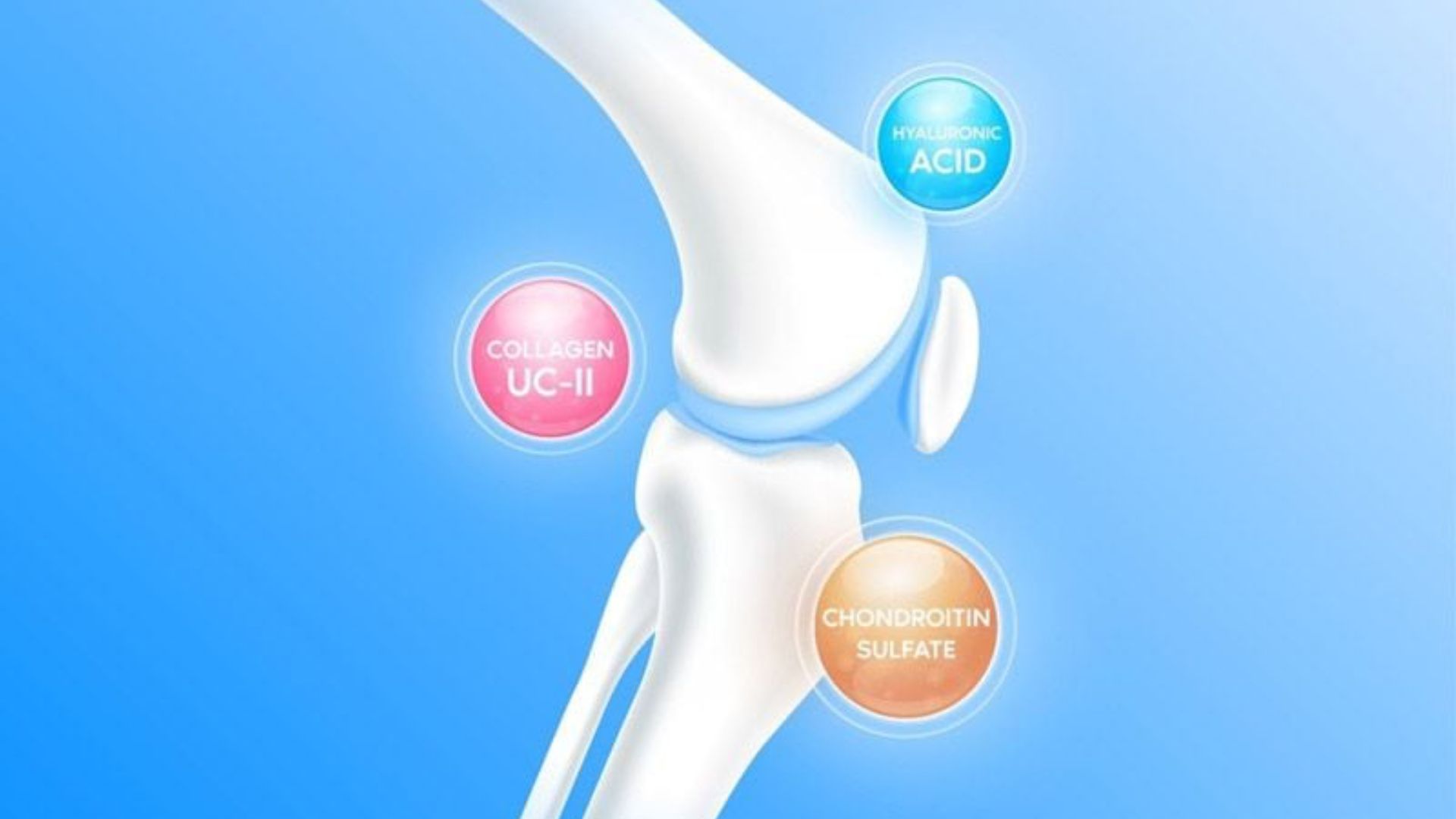 Uống Collagen Type 2 Như Thế Nào Để Hỗ Trợ Tái Tạo Sụn Khớp Hiệu Quả?